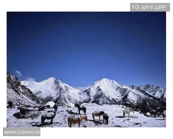 探秘四姑娘山大峰大本营的壮丽风光与攀登挑战之旅 探秘四姑娘山大峰大本营的壮丽风光与攀登挑战之旅